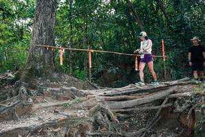 BIB: 
                            <button type="button" onclick="openModal(27805026)" class="btn btn-primary btn-sm float-right btn-popup" data-toggle="modal" data-target=".modal-high-quality">
                        <i class="fas fa-shopping-cart"></i> Add to Cart
                    </button>
                                            <button type="button" onclick="isThisMe(27805026, true)" class="btn btn-success btn-sm float-right btn-popup btn-isme hidden" data-toggle="tooltip" data-placement="bottom" title="นี่คือรูปของคุณใช่ไหม คลิกที่นี่เพื่อเอาเข้าอัลบั้ม">
                        <i class="fas fa-plus"></i> Add to album
                    </button>
                    <button type="button" onclick="isThisMe(27805026, false)" class="btn btn-warning btn-sm float-right btn-popup btn-isnotme hidden">
                        <i class="fas fa-ban"></i> Remove from album
                    </button>